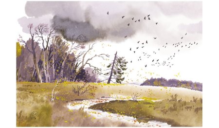 Некрасов перед дождем иллюстрация