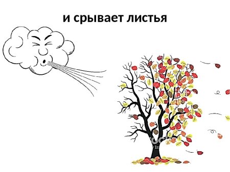 Ветер дует на дерево