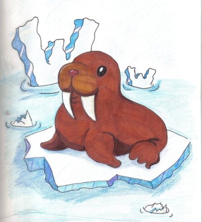 Морж на льдине