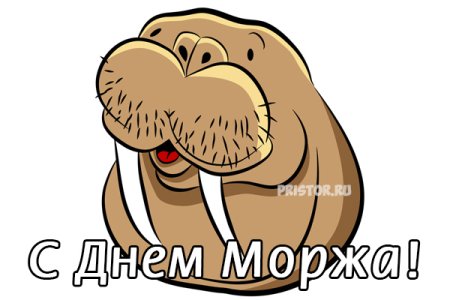 Поздравления с днем моржа