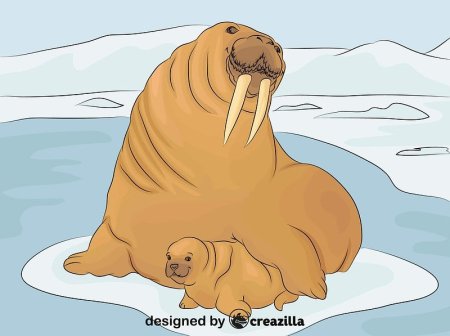 Моржи мультяшные