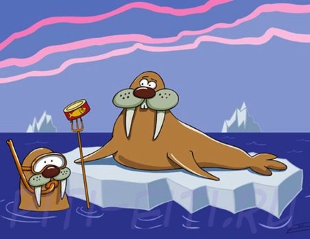 Над пропастью моржи