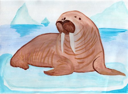 Рисование морж