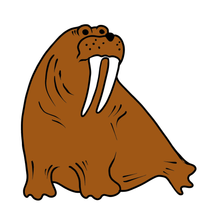 Морж картинка для детей