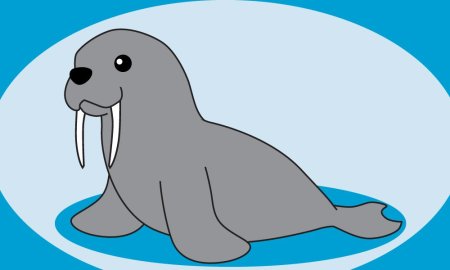 Рисование с детьми морж