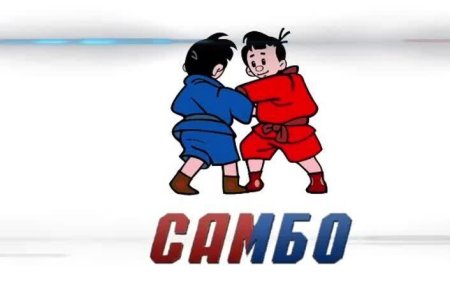 День самбо рисунки детей