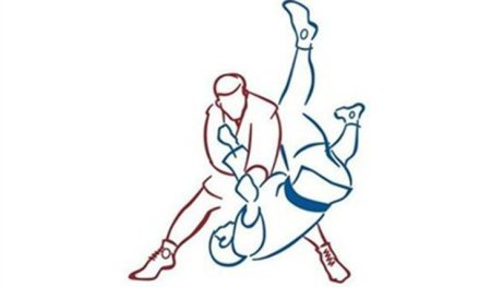 Вольная борьба самбо дзюдо