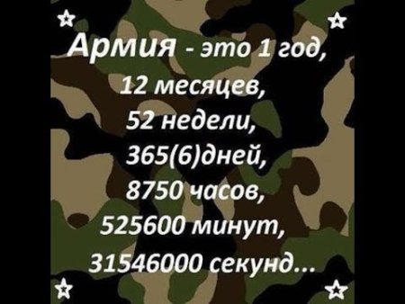 Армия это 1 год