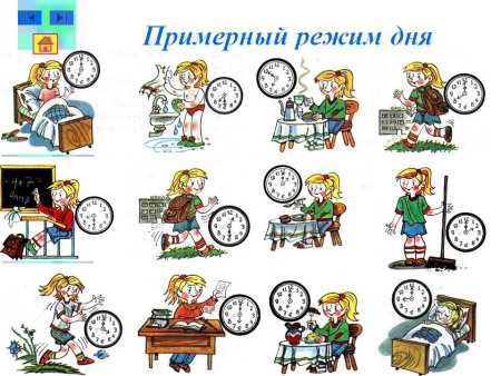 Распорядок дня школьника