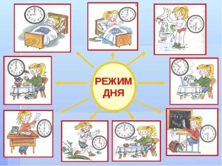 Распорядок дня школьника
