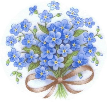 Фон с незабудками для текста