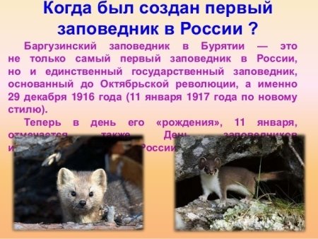 11 Января праздник день заповедников и национальных парков