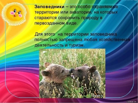 Презентация день заповедников