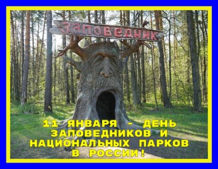 Рисунок для праздника заповедников и национальных парков