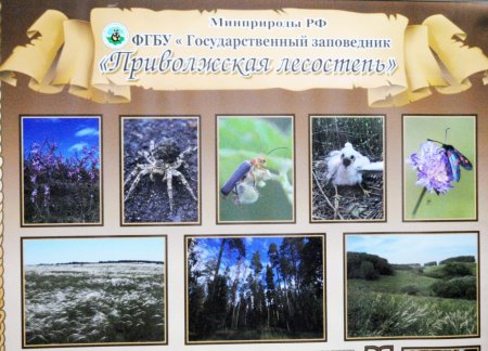 День заповедников и национальных парков 2021