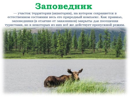 Охрана природы заповедники