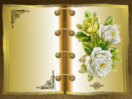 Раскраска библиотека