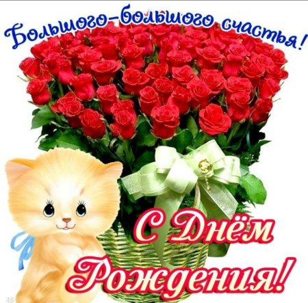Поздравление с днем рождения Однокласс