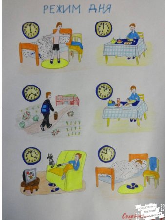 Мой распорядок дня