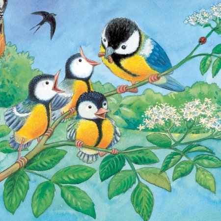 Картина синица для детей