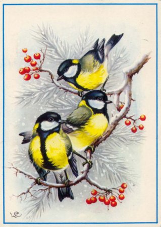 Рисование птиц