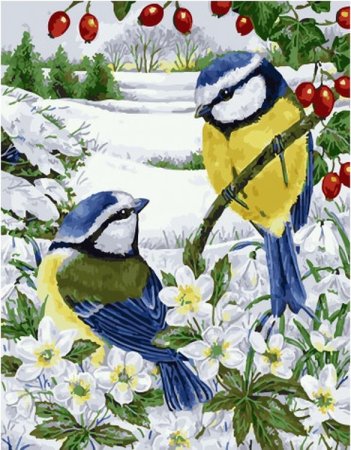 Синица лазоревка акварелью