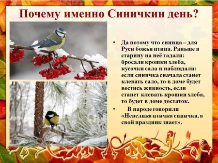 Синичкин день