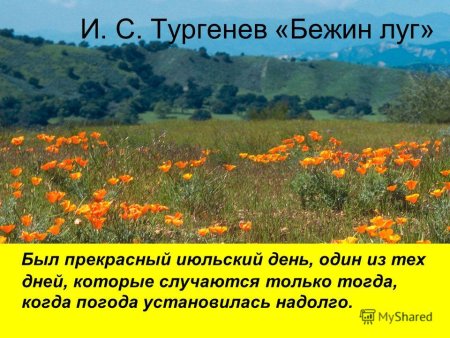 Прекрасного июльского дня