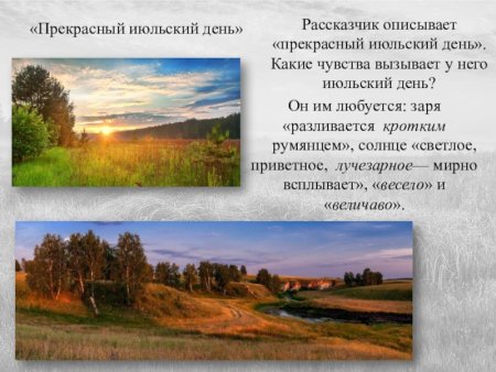 Прекрасного июльского дня