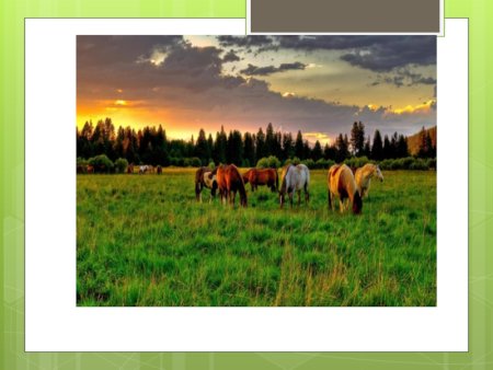 Пейзаж Бежин луг Тургенева