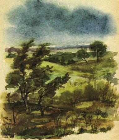 Бежевый луг Тургенев