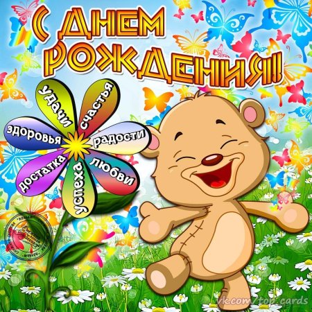 День рождения львенка