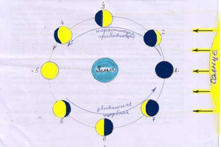 Схема смены фаз Луны