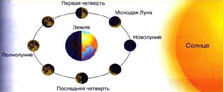 Фазы Луны положение относительно солнца