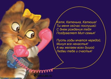 Поздравления с днём рождения Екатерине прикольные