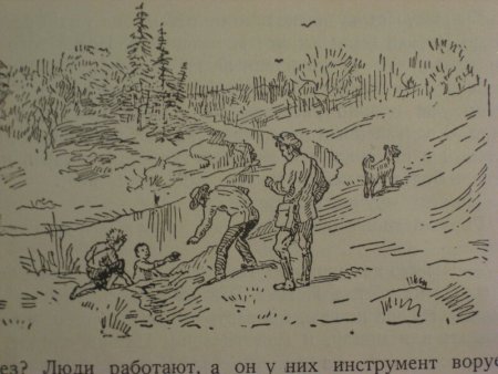 Дым в лесу Гайдар