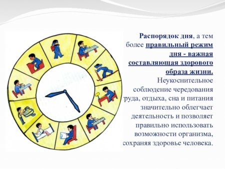Режим дня проект по физкультуре