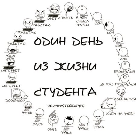 Смешные цитаты про учебу