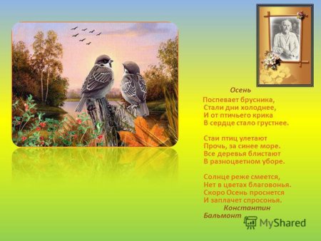 Поспевает брусника стали дни холоднее