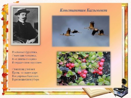 Бальмонт поспевает брусника
