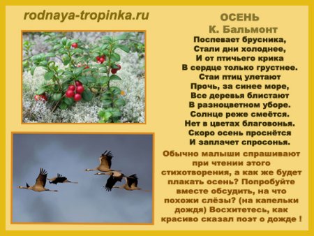 Бальмонт поспевает брусника стихотворение
