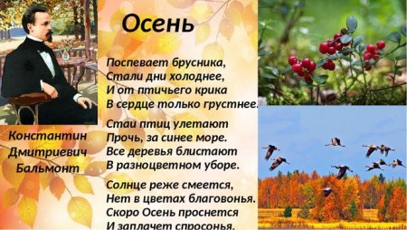 Бальмонт поспевает брусника