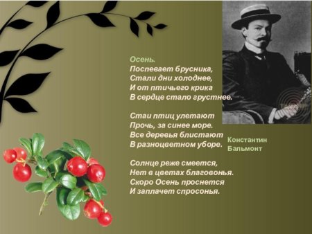 Бальмонт поспевает брусника