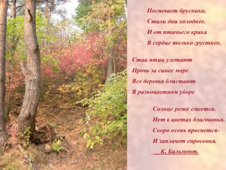 Бальмонт стихи поспевает брусника