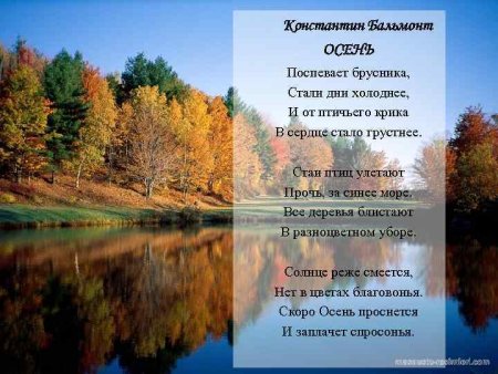 Константин Бальмонт поспевает брусника