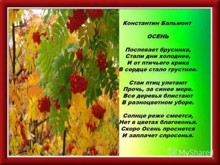 Константин Бальмонт поспевает брусника