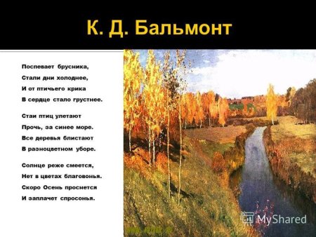 Поспевает брусника стали дни холоднее и от птичьего крика