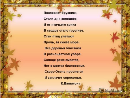 Бальмонт поспевает брусника