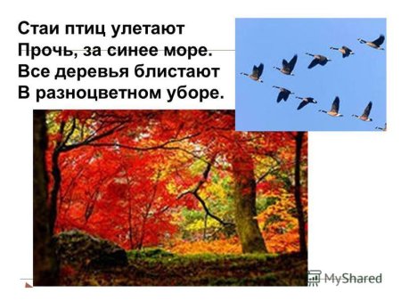 Константин Дмитриевич Бальмонт поспевает брусника