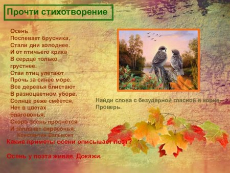 Бальмонт поспевает брусника